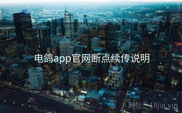 电鸽app官网断点续传说明  第1张