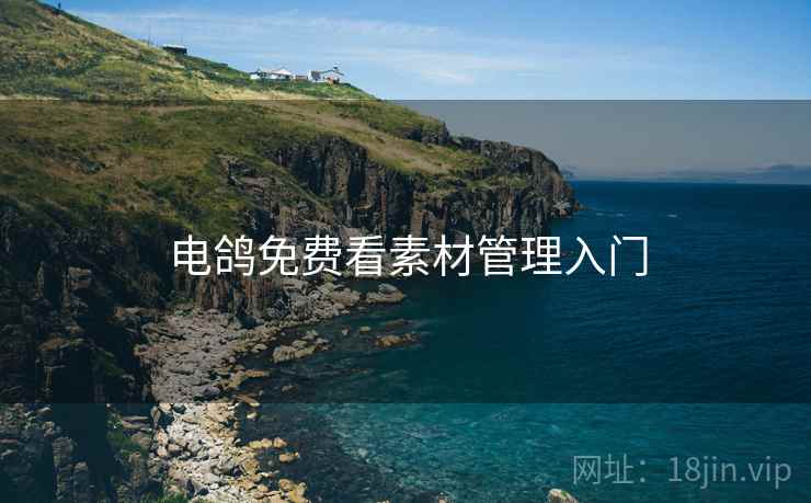 电鸽免费看素材管理入门  第2张