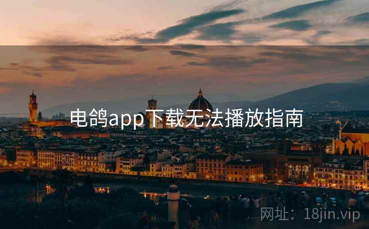 电鸽app下载无法播放指南  第2张