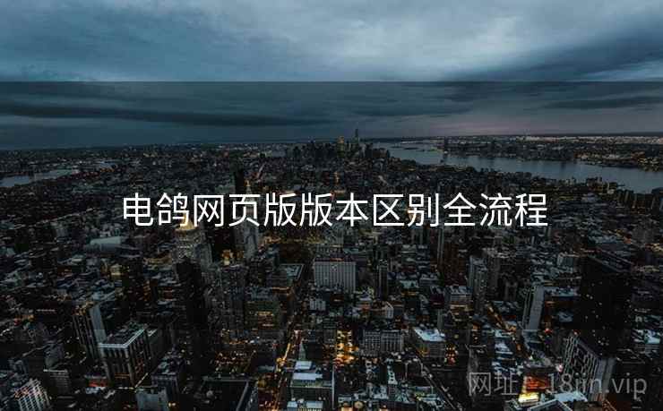 电鸽网页版版本区别全流程  第2张