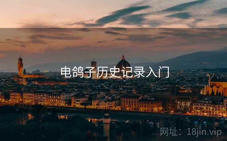 电鸽子历史记录入门  第1张