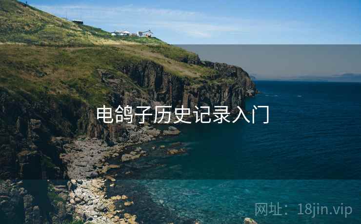 电鸽子历史记录入门  第2张
