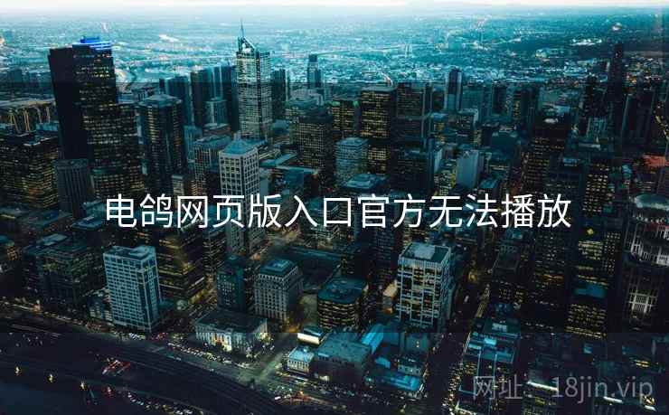 电鸽网页版入口官方无法播放  第1张