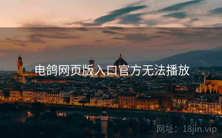 电鸽网页版入口官方无法播放  第2张