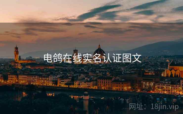 电鸽在线实名认证图文  第1张