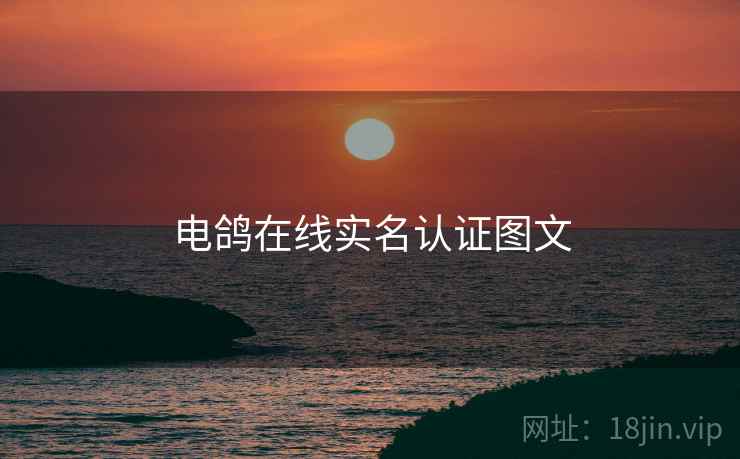 电鸽在线实名认证图文  第2张
