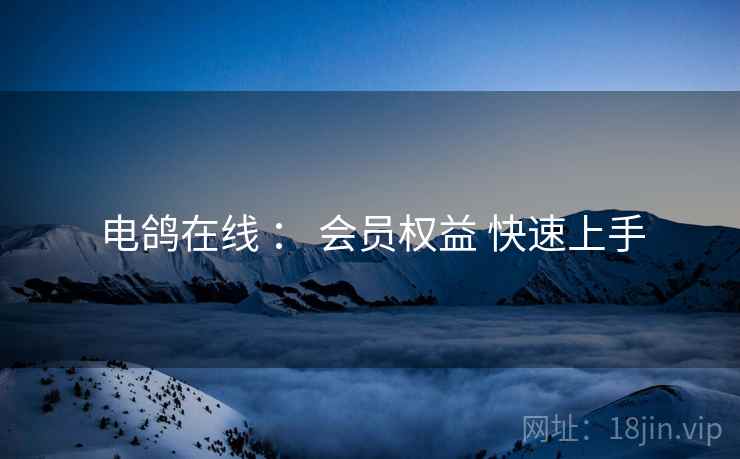 电鸽在线 ： 会员权益 快速上手  第1张