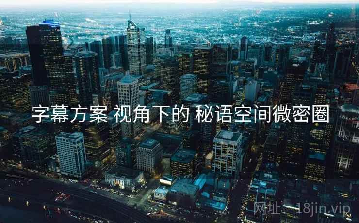 字幕方案 视角下的 秘语空间微密圈  第1张