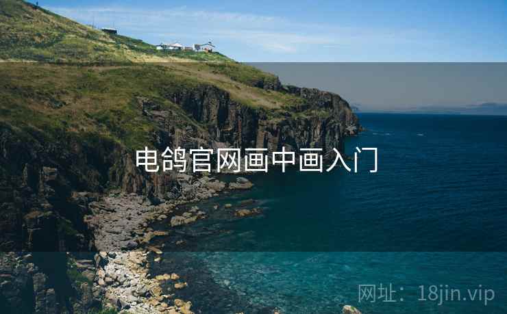 电鸽官网画中画入门  第2张