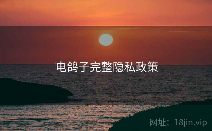 电鸽子完整隐私政策  第1张
