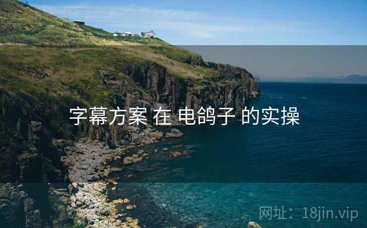 字幕方案 在 电鸽子 的实操  第1张