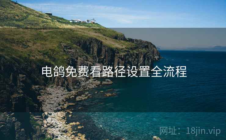 电鸽免费看路径设置全流程  第1张