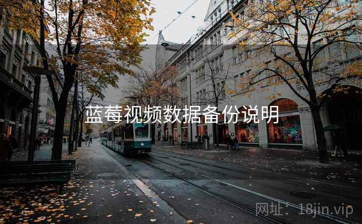 蓝莓视频数据备份说明  第2张