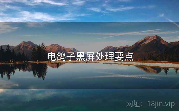 电鸽子黑屏处理要点  第2张