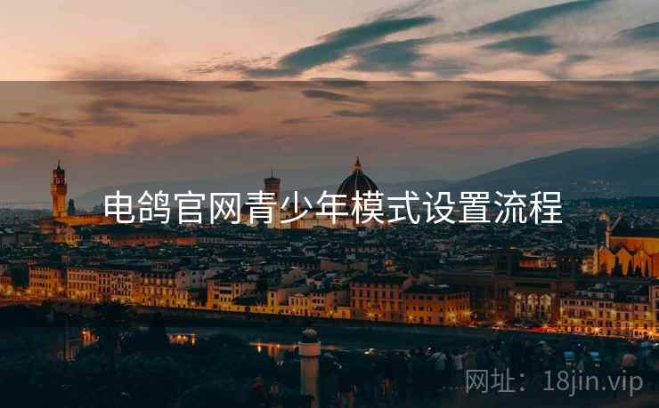 电鸽官网青少年模式设置流程  第1张