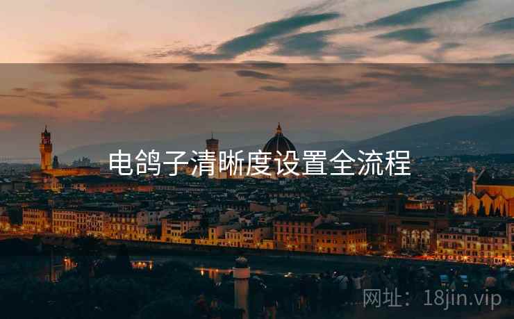 电鸽子清晰度设置全流程  第2张