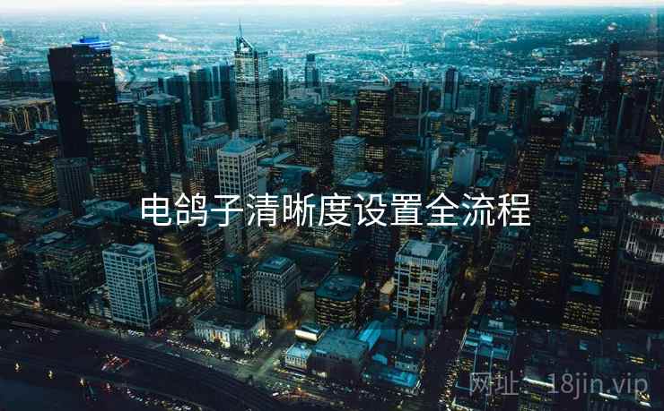 电鸽子清晰度设置全流程  第1张