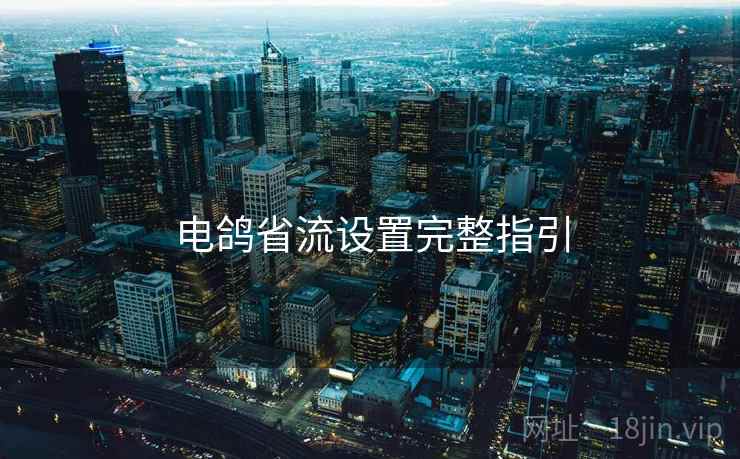 电鸽省流设置完整指引