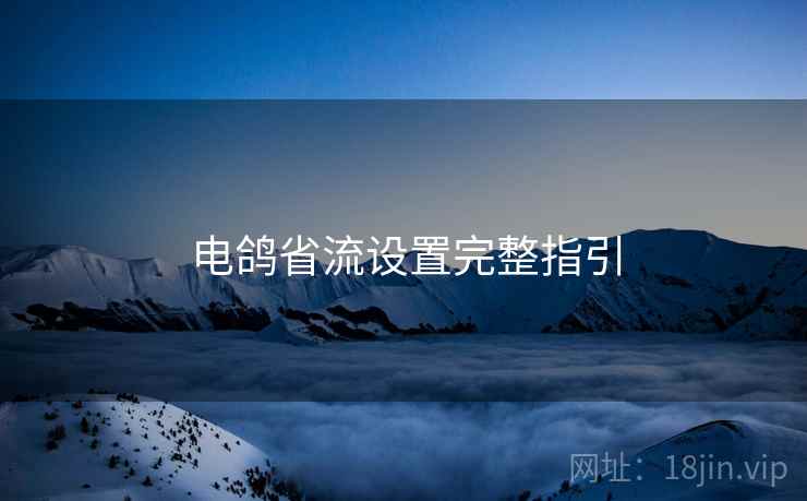 电鸽省流设置完整指引