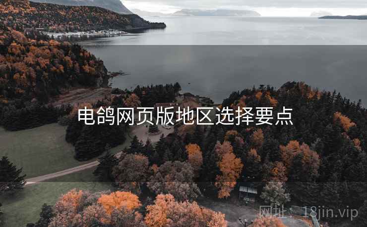 电鸽网页版地区选择要点  第1张