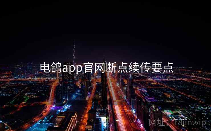 电鸽app官网断点续传要点 第1张 电鸽app官网断点续传要点 第1张
