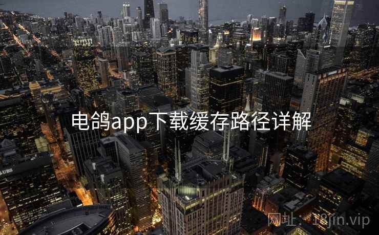 电鸽app下载缓存路径详解 第2张 电鸽app下载缓存路径详解 第2张