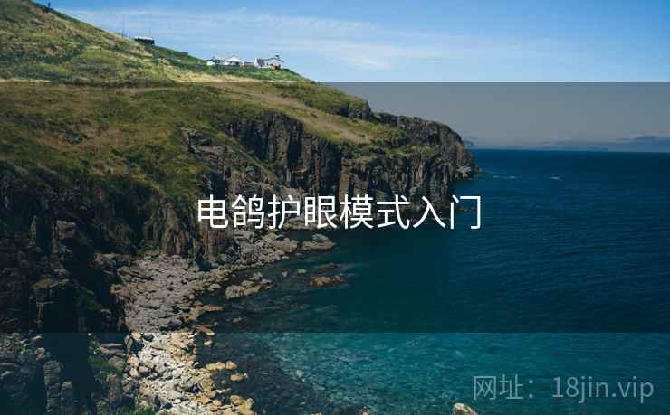 电鸽护眼模式入门 第1张 电鸽护眼模式入门 第1张